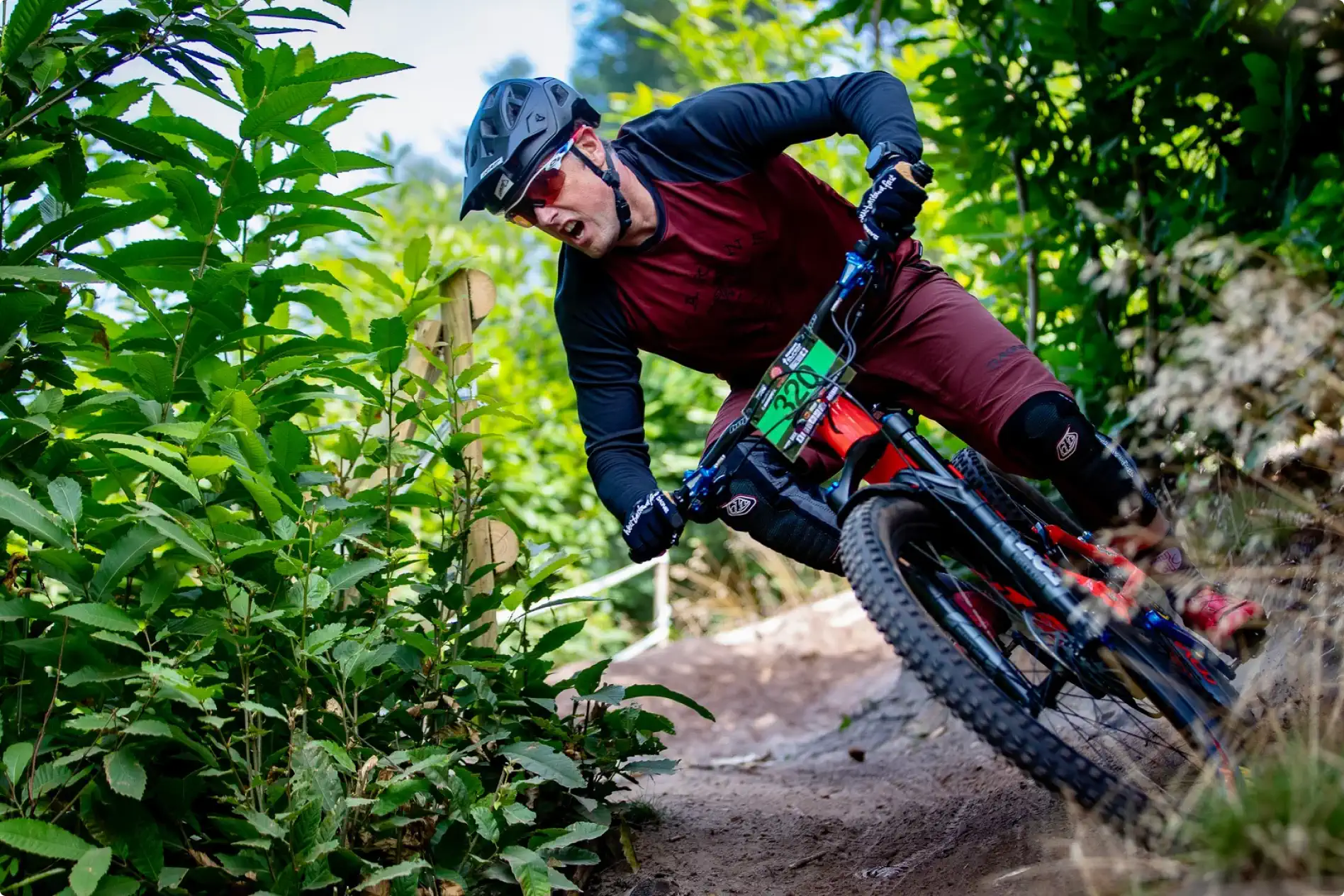 New guy at Quin.\nOld cycling dog.